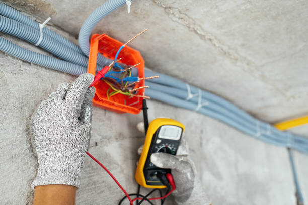 Best Electrical System Inspection  in Alba, NY